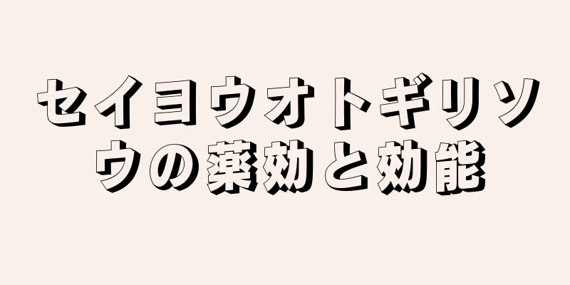 セイヨウオトギリソウの薬効と効能