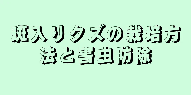 斑入りクズの栽培方法と害虫防除