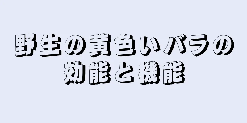 野生の黄色いバラの効能と機能