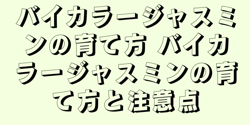 バイカラージャスミンの育て方 バイカラージャスミンの育て方と注意点