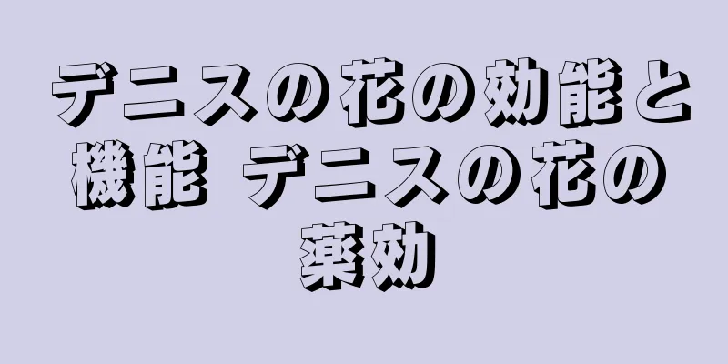 デニスの花の効能と機能 デニスの花の薬効