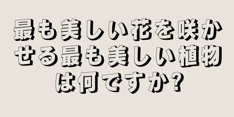 最も美しい花を咲かせる最も美しい植物は何ですか?