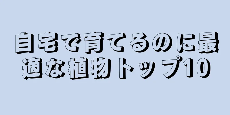 自宅で育てるのに最適な植物トップ10