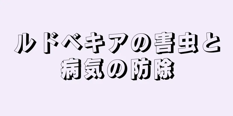 ルドベキアの害虫と病気の防除