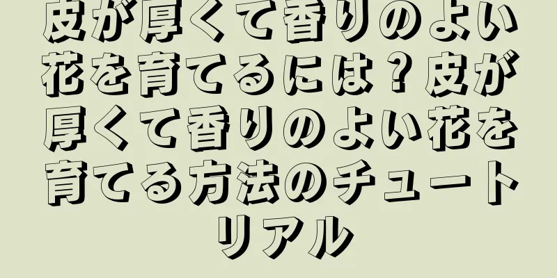 皮が厚くて香りのよい花を育てるには？皮が厚くて香りのよい花を育てる方法のチュートリアル