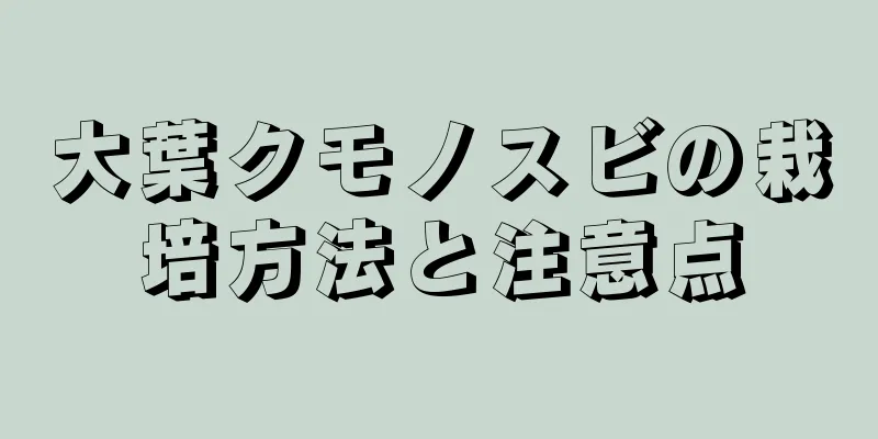大葉クモノスビの栽培方法と注意点