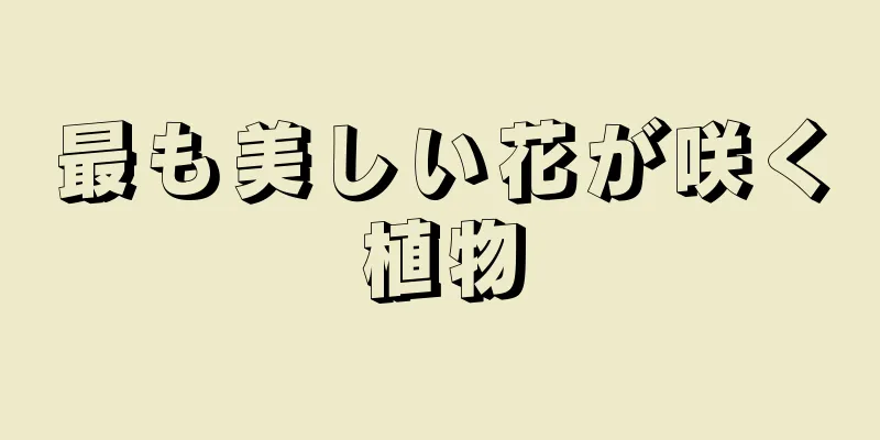 最も美しい花が咲く植物