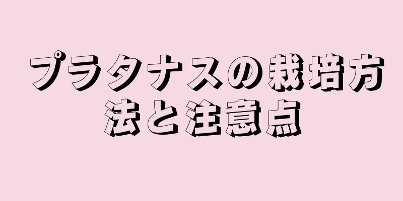 プラタナスの栽培方法と注意点