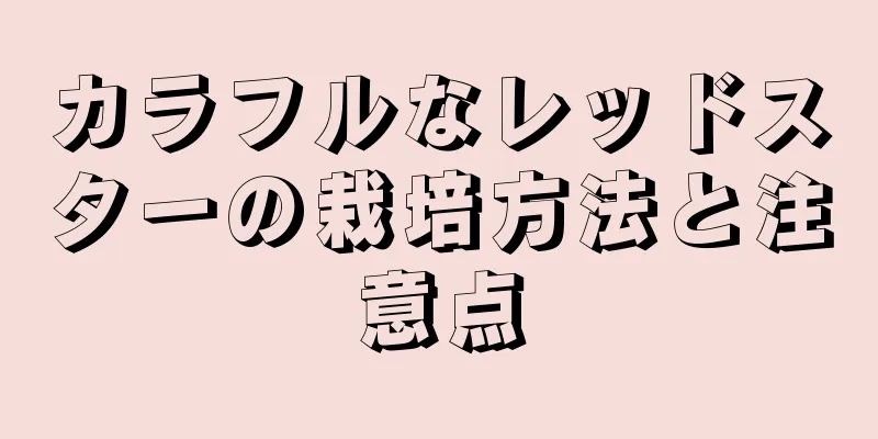 カラフルなレッドスターの栽培方法と注意点