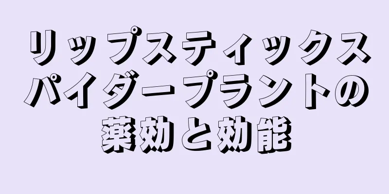 リップスティックスパイダープラントの薬効と効能