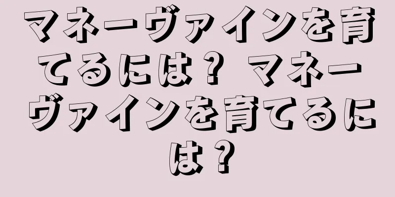 マネーヴァインを育てるには？ マネーヴァインを育てるには？