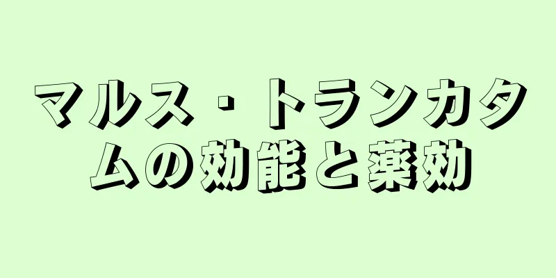 マルス・トランカタムの効能と薬効