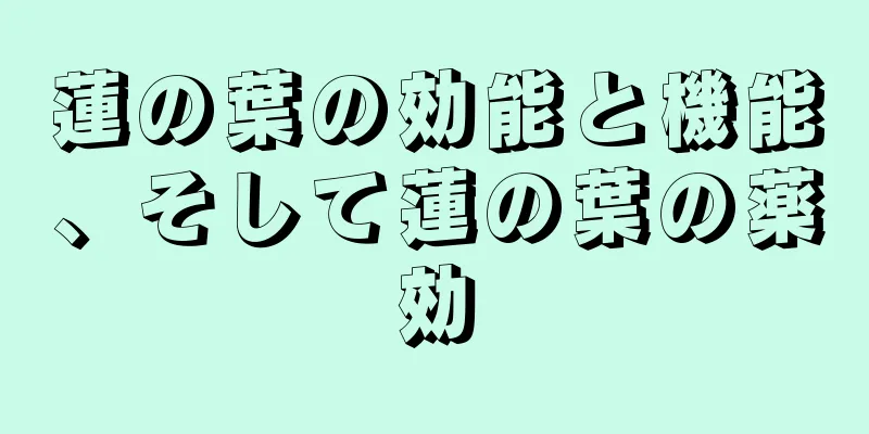 蓮の葉の効能と機能、そして蓮の葉の薬効