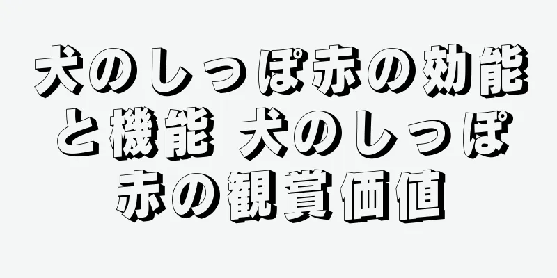 犬のしっぽ赤の効能と機能 犬のしっぽ赤の観賞価値