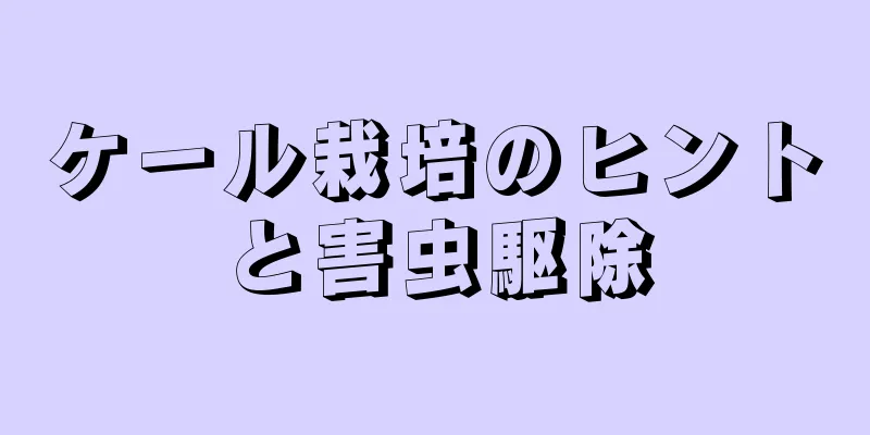 ケール栽培のヒントと害虫駆除