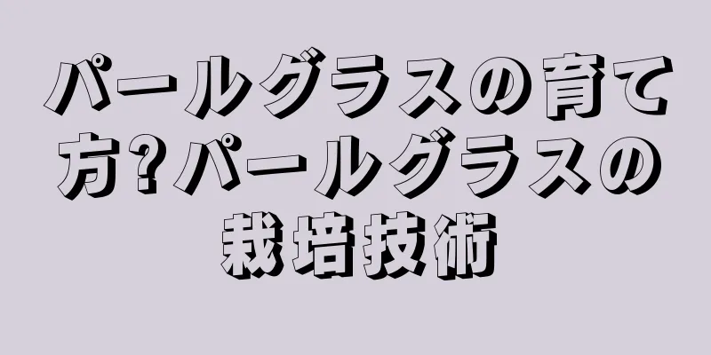 パールグラスの育て方?パールグラスの栽培技術