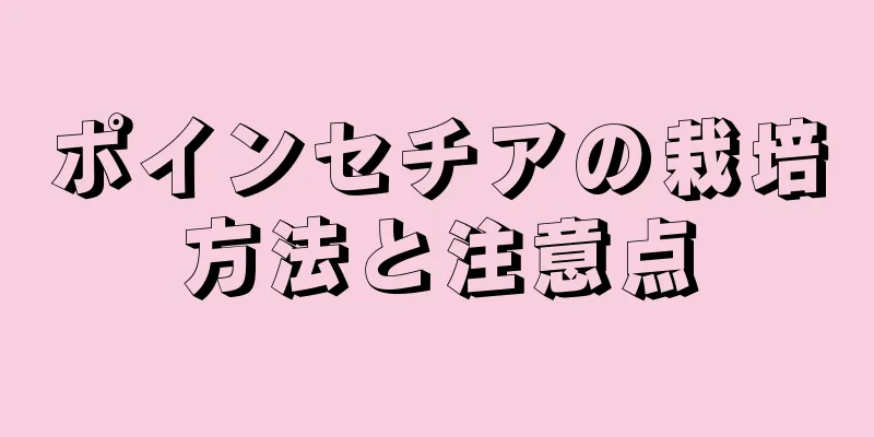 ポインセチアの栽培方法と注意点