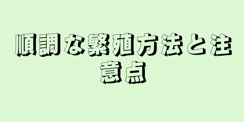 順調な繁殖方法と注意点