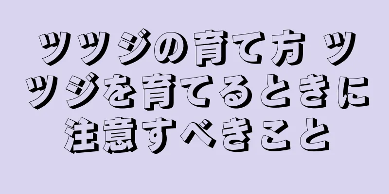 ツツジの育て方 ツツジを育てるときに注意すべきこと