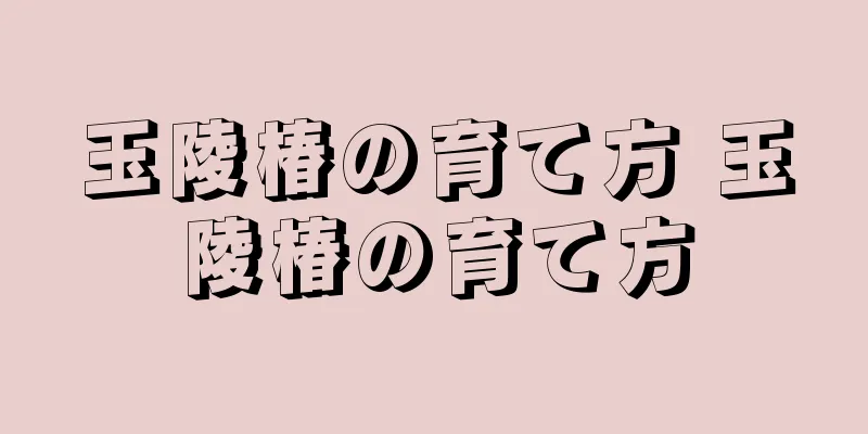 玉陵椿の育て方 玉陵椿の育て方