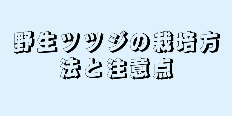 野生ツツジの栽培方法と注意点
