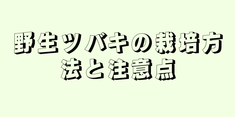 野生ツバキの栽培方法と注意点