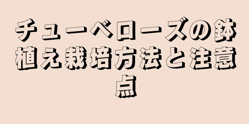 チューベローズの鉢植え栽培方法と注意点