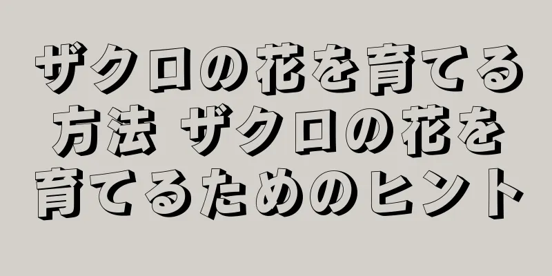 ザクロの花を育てる方法 ザクロの花を育てるためのヒント
