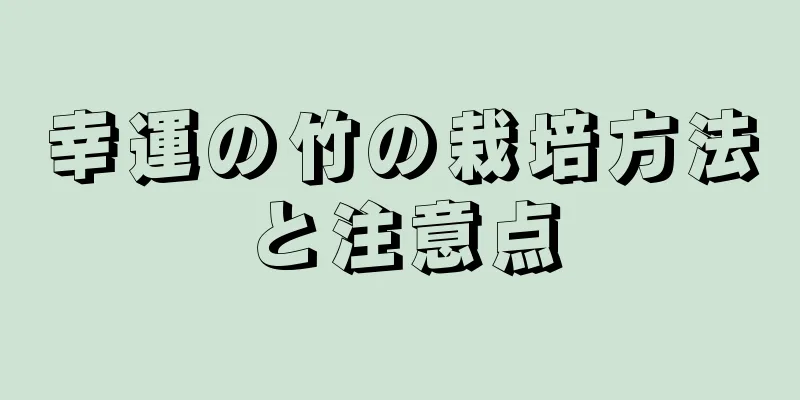 幸運の竹の栽培方法と注意点