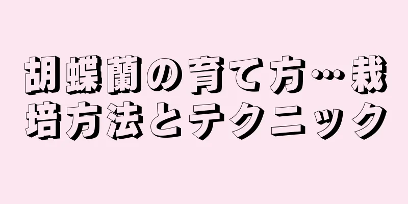 胡蝶蘭の育て方…栽培方法とテクニック