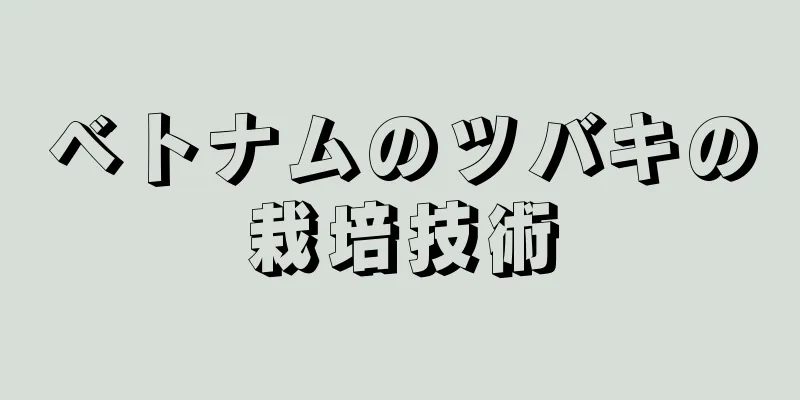 ベトナムのツバキの栽培技術
