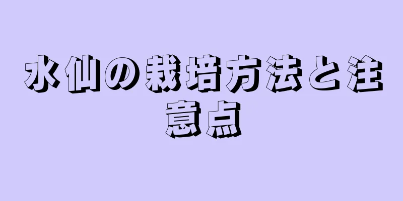 水仙の栽培方法と注意点