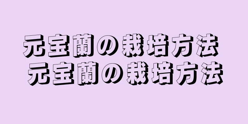 元宝蘭の栽培方法 元宝蘭の栽培方法