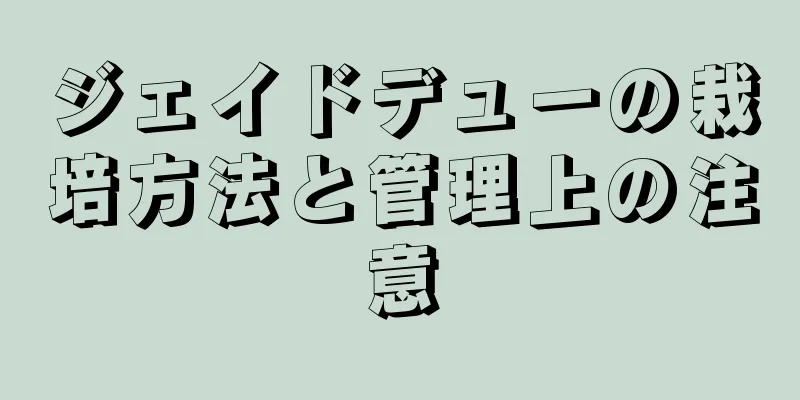 ジェイドデューの栽培方法と管理上の注意