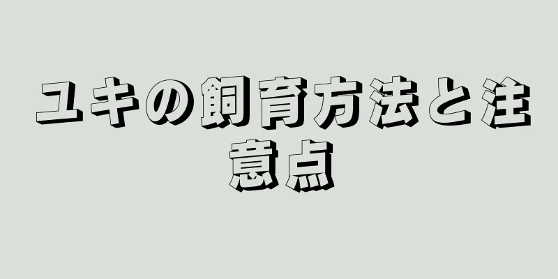 ユキの飼育方法と注意点