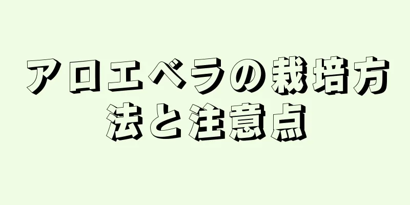 アロエベラの栽培方法と注意点