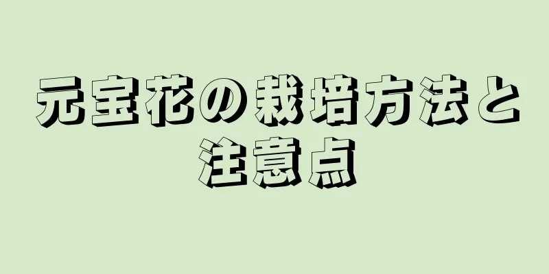 元宝花の栽培方法と注意点