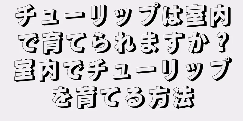 チューリップは室内で育てられますか？室内でチューリップを育てる方法