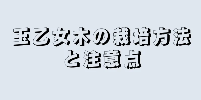 玉乙女木の栽培方法と注意点