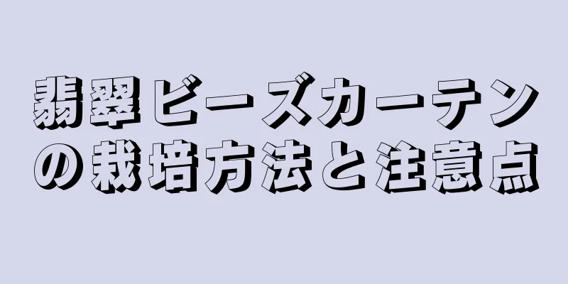 翡翠ビーズカーテンの栽培方法と注意点