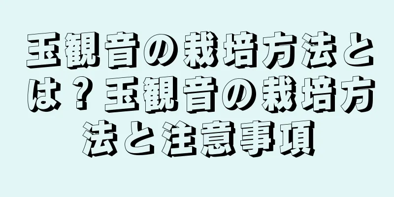 玉観音の栽培方法とは？玉観音の栽培方法と注意事項
