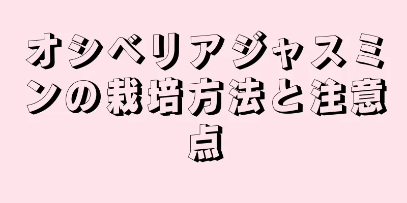 オシベリアジャスミンの栽培方法と注意点