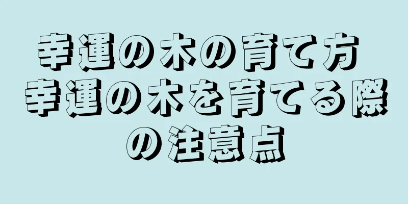 幸運の木の育て方 幸運の木を育てる際の注意点