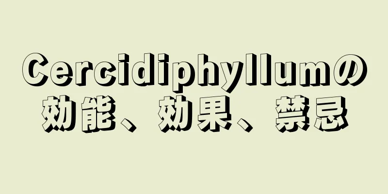 Cercidiphyllumの効能、効果、禁忌