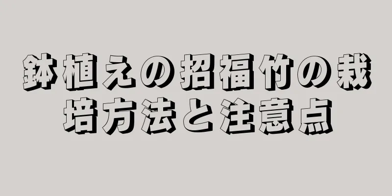 鉢植えの招福竹の栽培方法と注意点
