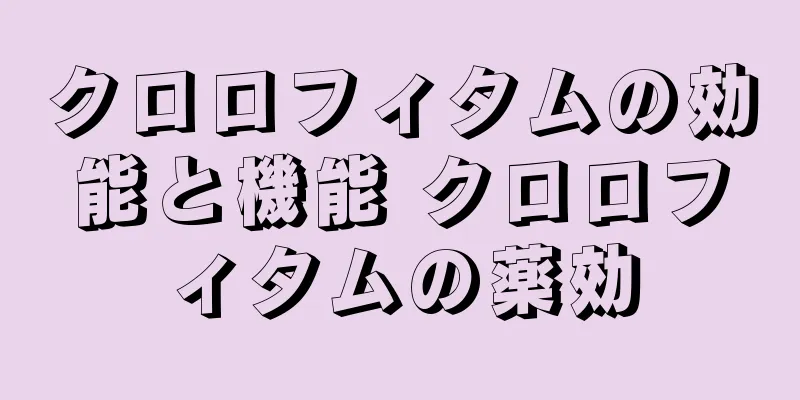 クロロフィタムの効能と機能 クロロフィタムの薬効