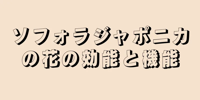 ソフォラジャポニカの花の効能と機能