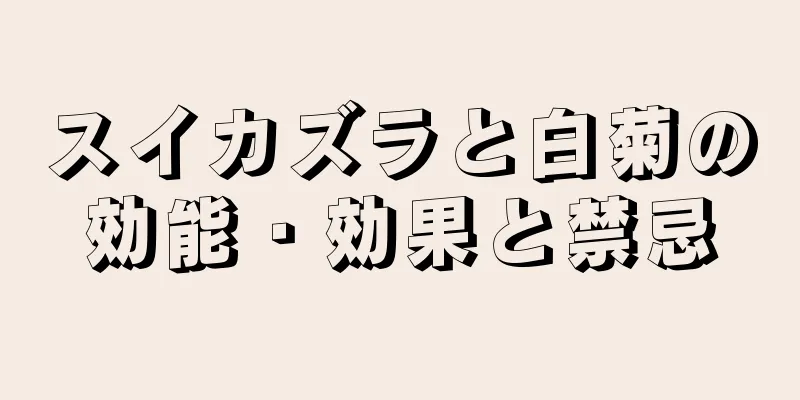 スイカズラと白菊の効能・効果と禁忌