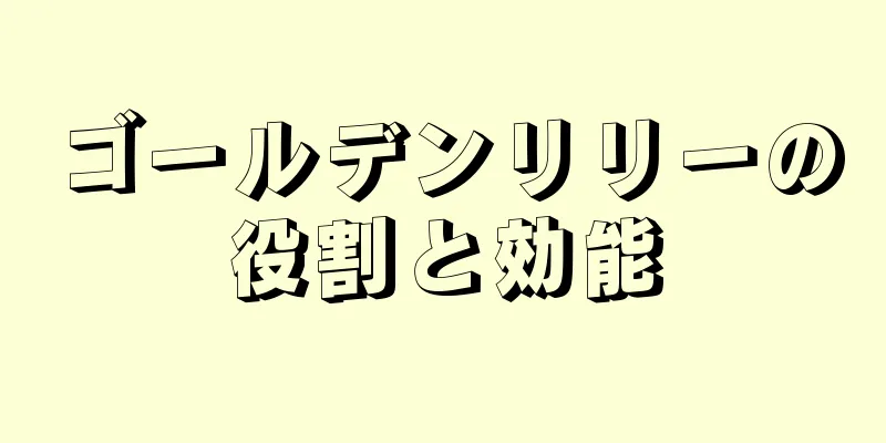 ゴールデンリリーの役割と効能
