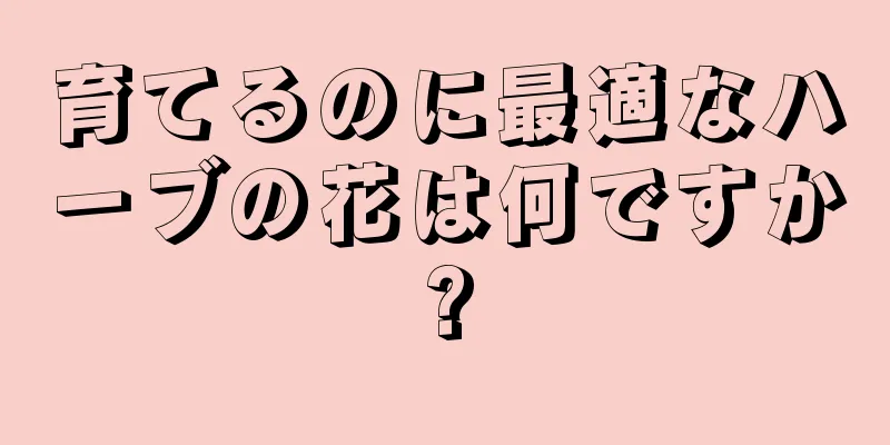 育てるのに最適なハーブの花は何ですか?